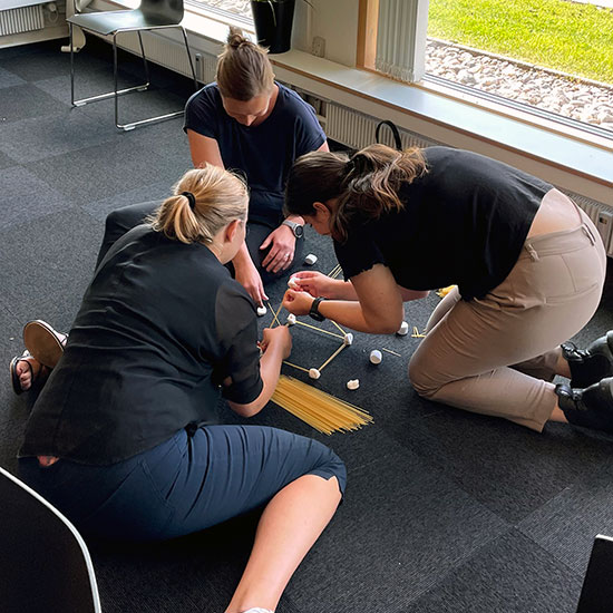 DISC kan bruges til teambuilding